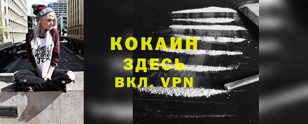 соль ск Волосово