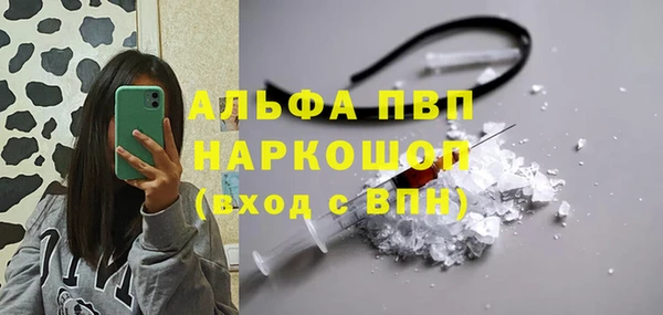 соль ск Волосово