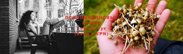 соль ск Волосово